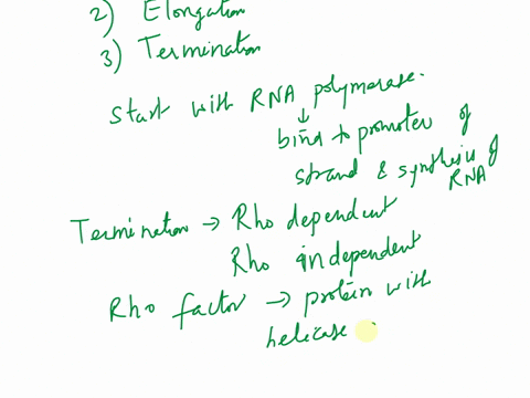 2-transcription-is-the-first-step-in-gene-expression-it-involves-copying-a-genes-dna-sequence-to-make-an-rna-molecule-it-is-performed-by-enzymes-called-rna-polymerases-which-link-nucleotides-55479