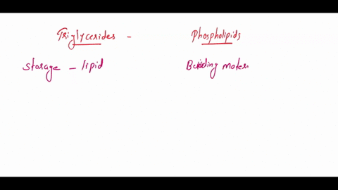 compare-and-contrast-the-structure-and-function-of-phospholipids-and-triglycerides-how-do-their-differences-contribute-to-their-differences-in-function-16613