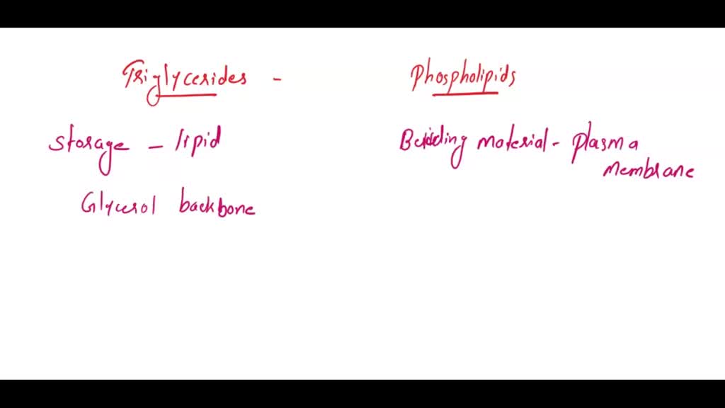 Solved 1 There Are Three Major Types Of Lipids Phospholipids Glycolipids And Cholesterol 4652