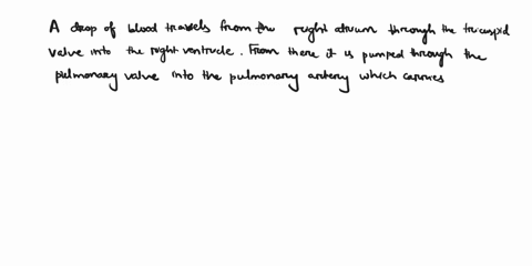1-trace-a-drop-of-blood-from-the-right-atrium-back-to-the-right-atrium-include-the-chambers-of-the-heart-valves-and-the-major-vessels-of-the-circulatory-system-write-an-explanation-of-your-a-84743