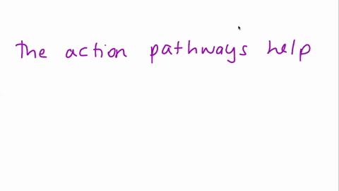 describe-how-the-perception-and-action-pathways-both-play-a-role-in-an-action-such-as-picking-up-a-2-94638