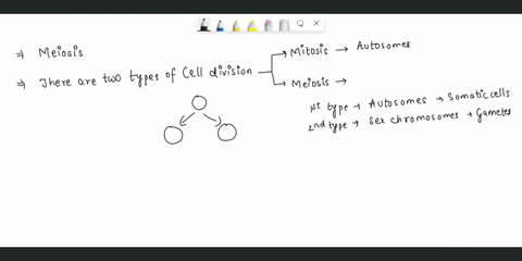 meiosis-is-a-equational-b-reductional-c-double-division-d-all-99021