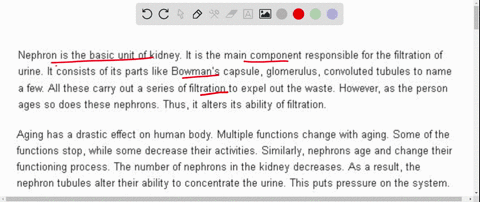 as-a-person-ages-nephron-tubules-lose-some-of-their-ability-to-concentrate-urine-what-is-the-effect-68253