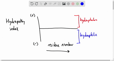 the-nicotinic-acetylcholine-receptor-is-a-cation-channel-in-the-plasma-membrane-of-some-neurons-it-is-composed-of-five-identical-subunits-the-hydropathy-plot-for-each-subunit-is-represented-75346