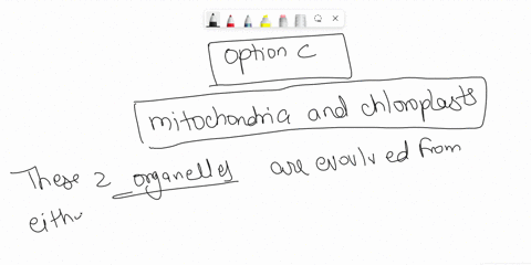 which-eukaryotic-cell-component-most-likely-evolved-from-entirelwhole-prokaryotic-cells-capsule-lysosome-mitochondria-and-choloroplast-301gi-rbosome-nucleus-peptido-glycan-question-33-1-pts-08309