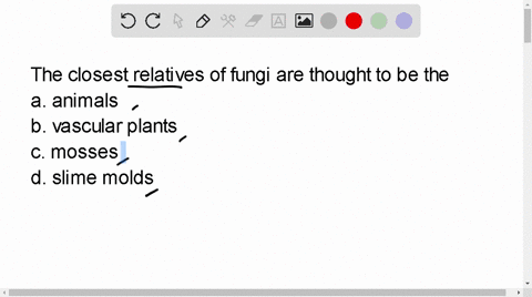 the-closest-relatives-of-fungi-are-thought-to-be-the-a-animals-b-vascular-plants-c-mosses-d-slime-mo-33794