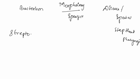 morphology-and-specific-properties-_-disease-or-special-niche-_-strep-throat-pharyngitis-bacterium-name-gramcocci-pneumonia-gram-cocci-cluster-scaled-skin-syndrome-staphylococcus-mutans_-gra-36685