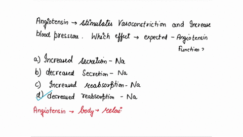 angiotensin-is-a-hormone-that-stimulates-vasoconstriction-and-increases-blood-pressure-which-effect-would-also-be-expected-from-angiotensin-function-a-increased-secretion-of-sodium-in-the-ki-47802