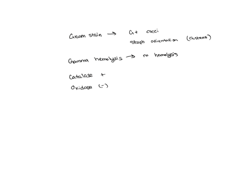 you-have-isolated-an-organism-from-the-urine-of-patient-x-a-24-year-old-female-it-is-showing-gamma-hemolysis-o-blood-agar-and-the-colonies-are-large-with-an-entire-margin-and-are-white-in-co-32517