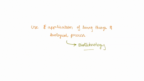 the-use-and-application-of-living-things-and-biological-processes-is-known-as-a-human-biology-b-medical-research-c-biotechnology-d-epidemiology-91623