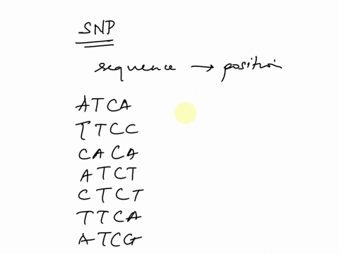 shown-below-are-eight-dna-sequences-from-different-individuals-identify-the-nucleotide-positions-of-all-single-nucleotide-polymorphisms-snps-in-these-sequences-then-indicate-the-haplotype-of-66663