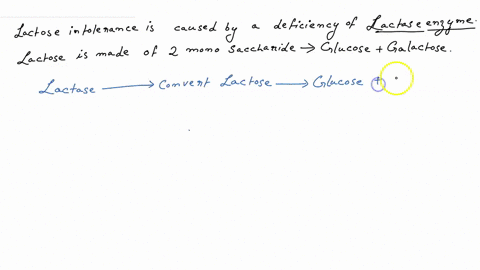 1-why-would-a-test-for-tolerance-to-lactose-measure-the-levels-of-blood-glucose-and-not-lactose-2-would-you-expect-higher-or-lower-glucose-levels-for-dairy-tolerant-individuals-after-consumi-43638