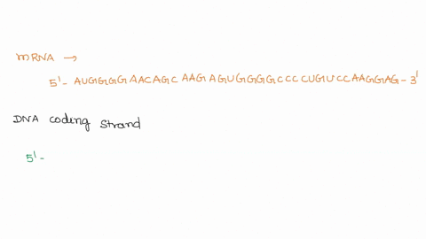 the-sequence-of-part-of-an-mrna-transcript-is-5-auggggaacagcaagaguggggcccuguccaaggag-3-what-is-the-sequence-of-the-dna-coding-strand-5-atgagcaacagcaagagtgcggcactgtccacagag-what-is-the-sequen-39754