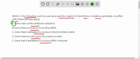 which-of-the-following-could-be-used-as-a-selective-marker-for-identifying-or-isolating-genetically-modified-cells-select-all-that-apply-a-gene-that-confers-antibiotic-resistance-b-gene-that-10405