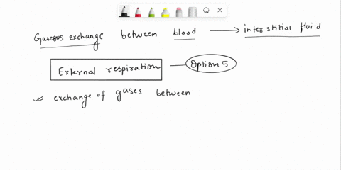 question-20-the-process-by-which-dissolved-gases-are-exchanged-between-the-blood-and-interstitial-fluids-is-diffusion-o-pulmonary-ventilation-o-breathing-o-cellular-respiration-oexternal-res-98335