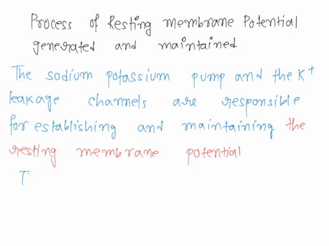 7-explain-how-the-resting-membrane-potential-is-generated-and-maintained-22514