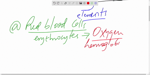 red-blood-cells-white-blood-cells-and-platelets-are-all-formed-elements-of-blood-true-or-false-03777