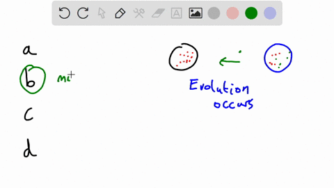 which-evolutionary-force-occurs-when-fertile-individuals-migrate-between-populations-having-different-allele-frequencies-group-of-answer-choices-genetic-drift-gene-flow-mutation-natural-sele-52553