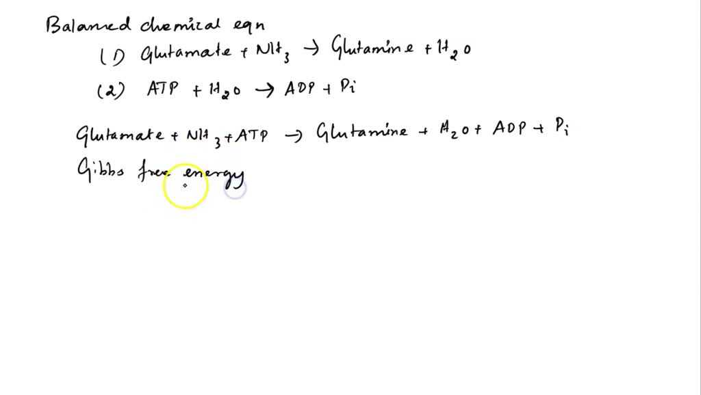 SOLVED: The synthesis of the amino acid glutamine is driven by the ...