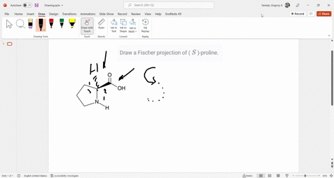 draw-a-fischer-projection-of-s-proline-26714