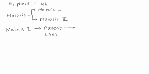 a-cell-has-23-pairs-of-chromosomes-46-total-during-g1-of-the-cell-cycle-how-many-total-chromosomes-would-in-the-newly-formed-cells-at-the-end-of-meiosis-and-cytokinesis-select-one-a-23-b-46-18098
