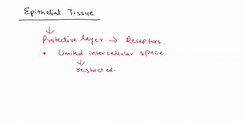 which-of-the-following-is-not-characteristic-of-typical-epithelial-tissue-it-is-avascular-it-is-anchored-to-an-underlying-connective-tissue-by-basal-iamina_-the-cells-making-up-the-tissue-ar-56567