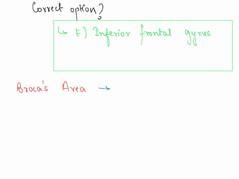 10the-position-of-writing-area-is-posterior-portion-of-middle-frontal-gyrus-b-either-side-of-calcarine-sulcus-postcentral-gyrus-and-posterior-portion-of-paracentral-lobule-d-transverse-gyri-03539