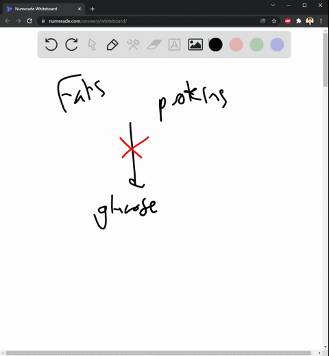 in-the-inner-membrane-of-the-mitochondria-question-7-since-fats-and-proteins-are-not-made-up-of-glucose-molecules-how-do-they-fuel-the-reactions-of-cellular-respiration-0-fats-and-protcins-c-10846