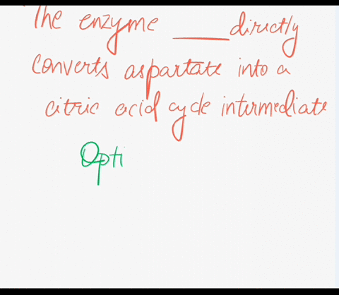 the-enzyme-directly-converts-aspartate-into-a-citric-acid-cycle-intermediate-aspartate-ammonia-ligase-aspartate-aminotransferase-aspartate-racemase-aspartate-4-decarboxylase-in-humans-the-en-79138