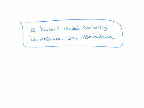 which-of-the-following-is-likely-to-be-the-most-effective-approach-in-the-treatment-of-schizophrenia-in-an-indigenous-culture-46595