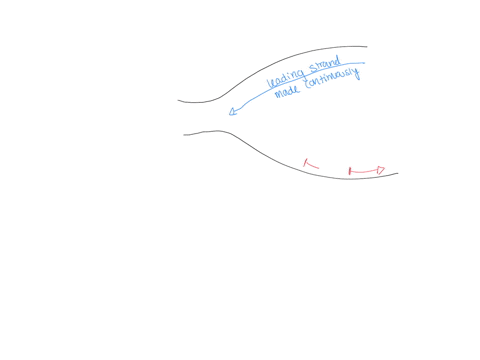 which-of-the-following-is-true-about-dna-replication-dna-ligase-joins-the-leading-strand-together-okazaki-fragments-are-formed-on-the-lagging-strand-the-lagging-strand-is-synthesized-continu-31197