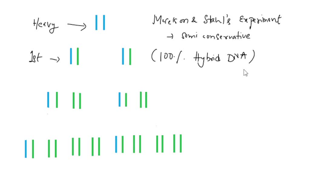 in meselson and stahl experiment n15 was