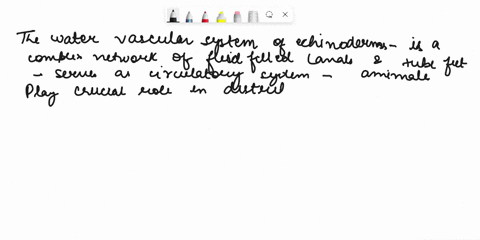 the-water-vascular-system-of-echinoderms-0-functions-in-digestion-0-functions-in-locomotion-0-moves-water-through-the-animals-body-during-filter-feeding-0-functions-as-a-circulatory-system-t-16812