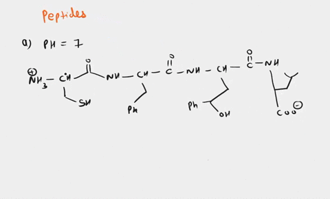 12-points-a-draw-the-structure-at-ph-7-for-the-following-peptides-b-determine-the-net-charge-ofthe-peptide-at-ph-7-2and-13-for-each-peptide-use-amino-acid-pks-from-the-textbook-c-calculate-t-54005