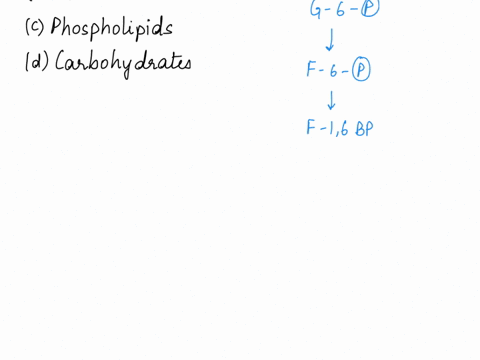 what-chemical-reactions-are-involved-in-synthesizing-biomolecules-in-what-product-do-they-always-producedna-proteins-phospholipids-carbohydrates-29145