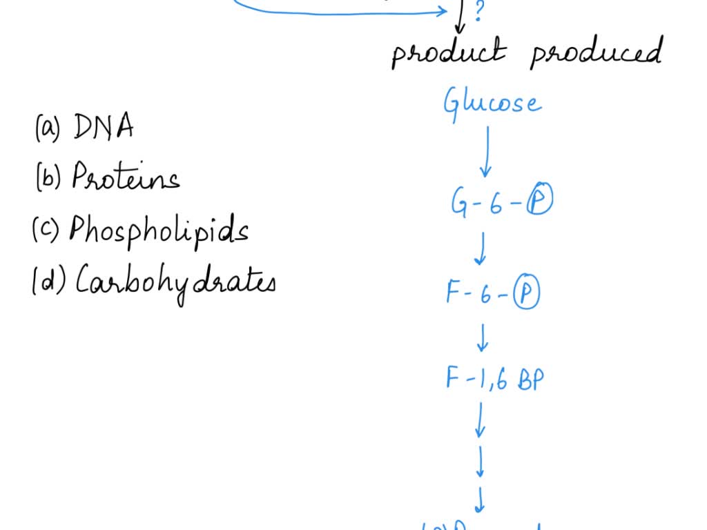 SOLVED Which substances are responsible for accelerating chemical