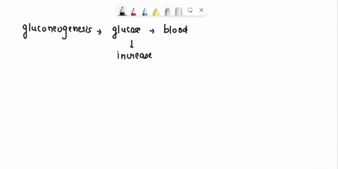 gluconeogenesis-is-the-process-in-which-multiple-choice-glucose-levels-are-increased-in-he-blood-through-the-breakdown-of-carbohydrates-glucose-levels-are-decreased-in-the-blood-through-the-68058
