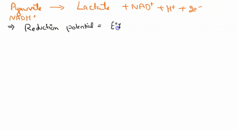 consider-the-following-reaction-pyruvate-nadh-h-lactate-nad-the-half-cell-reaction-with-their-standard-reduction-potentials-are-pyruvate-2h-2e-lactate-019v-nad-h-2e-nadh-032v-what-is-the-red-06138
