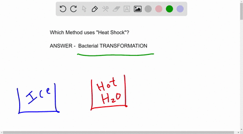 which-of-the-following-method-uses-heat-shock-25977