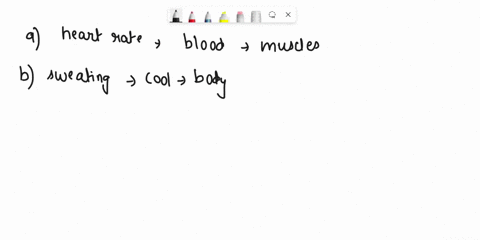which-of-these-physiological-changes-would-not-be-considered-part-of-the-sympathetic-fight-or-flight-responsea-increased-heart-rateb-increased-sweatingc-dilated-pupilsd-increased-stomach-mot-92013