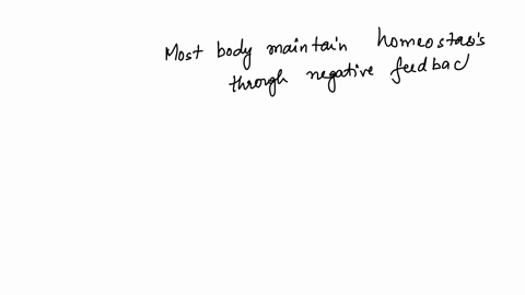 most-body-systems-maintain-homeostasis-through-systems-redundant-positive-feedback-negative-feedback-alternating-monitoring