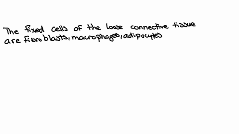 name-and-classify-the-cell-types-that-may-be-found-in-loose-connective-tissues-and-mention-the-functions-of-each-type