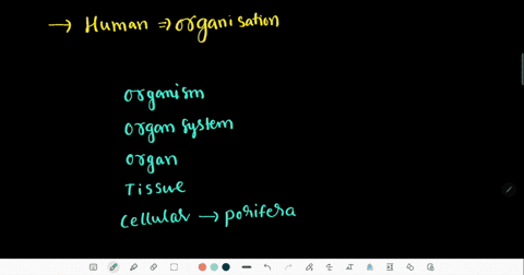 human-beings-are-composed-of-progressively-larger-units-of-organization-which-unit-of-organization-include-all-the-other-a-cells-b-organs-c-systems-d-tissues-43821