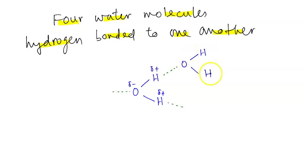 SOLVED Draw 4 water molecules; hydrogen bonded to one another