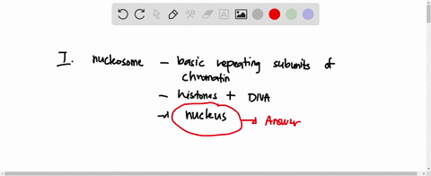 question-10-ofthe-following-where-is-one-most-iikely-to-find-nucleosomes-nucleus-mitochondria-virus-chloroplast-question-11-sars-cov-2-has-single-stranded-positive-sense-rna-genome-what-does-13994