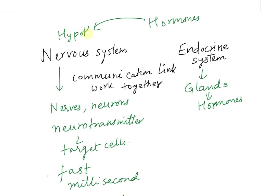 SOLVED Chapter 16 The Endocrine System Chemical substances secreted