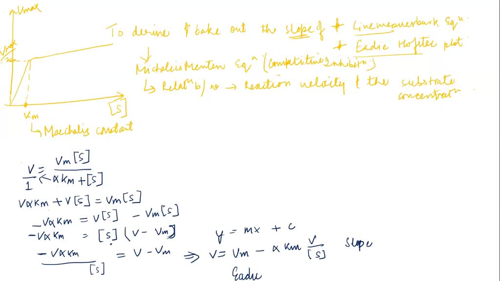 SOLVED: Write the Michaelis-Menten equation and draw a saturation plot ...