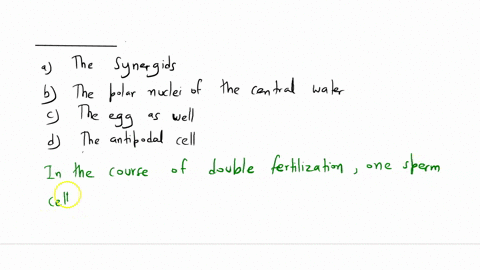 in-the-course-of-double-fertilization-one-sperm-cell-fuses-with-the-egg-and-the-second-one-fuses-with-________-a-the-synergids-b-the-polar-nuclei-of-the-center-cell-c-the-egg-as-well-d-the-a-23947