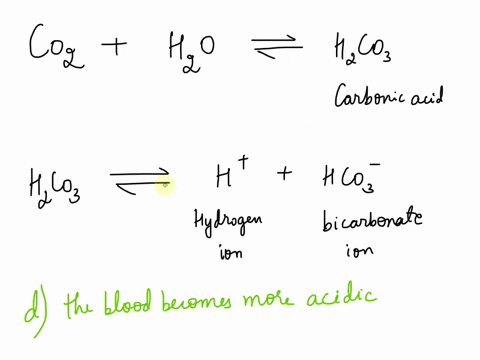 what-happens-when-carbon-dioxide-level-in-the-blood-increasesa-ph-of-the-blood-increasesb-the-blood-becomes-more-alkalinec-hydrogen-ions-in-the-blood-decreasesd-the-blood-becomes-more-acidic-71325