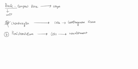 the-basic-unit-of-compact-bone-is-o-achrondrocytes-o-bperichondrium-o-celastic-cartilage-o-dosteon-or-haversian-system-72974